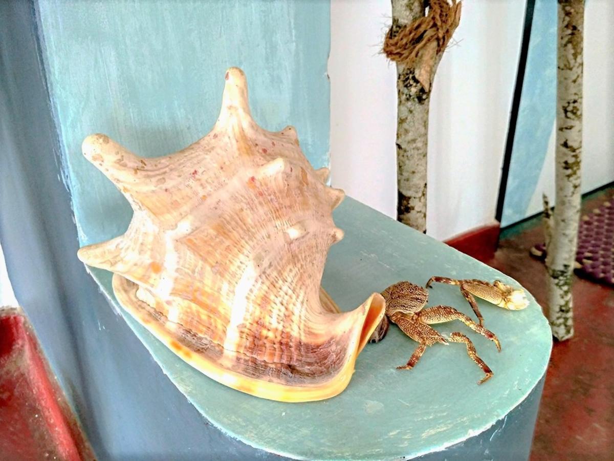 Banana Garden Hotell Banduramulla Eksteriør bilde